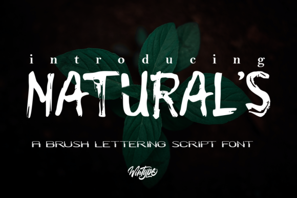 Natural s: A Bold Display Font for Modern Editorial Design