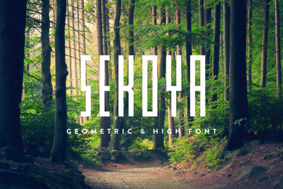 Sekoya: A Bold Display Font for Modern Editorial Design